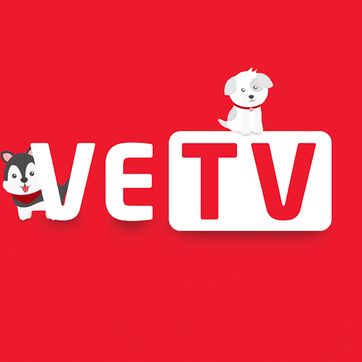 Trang chủ Vietnam Esport TV là gì?